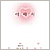 ��ȫ��Ʈ