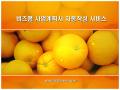 파워포인트 배경(오렌지(과일))