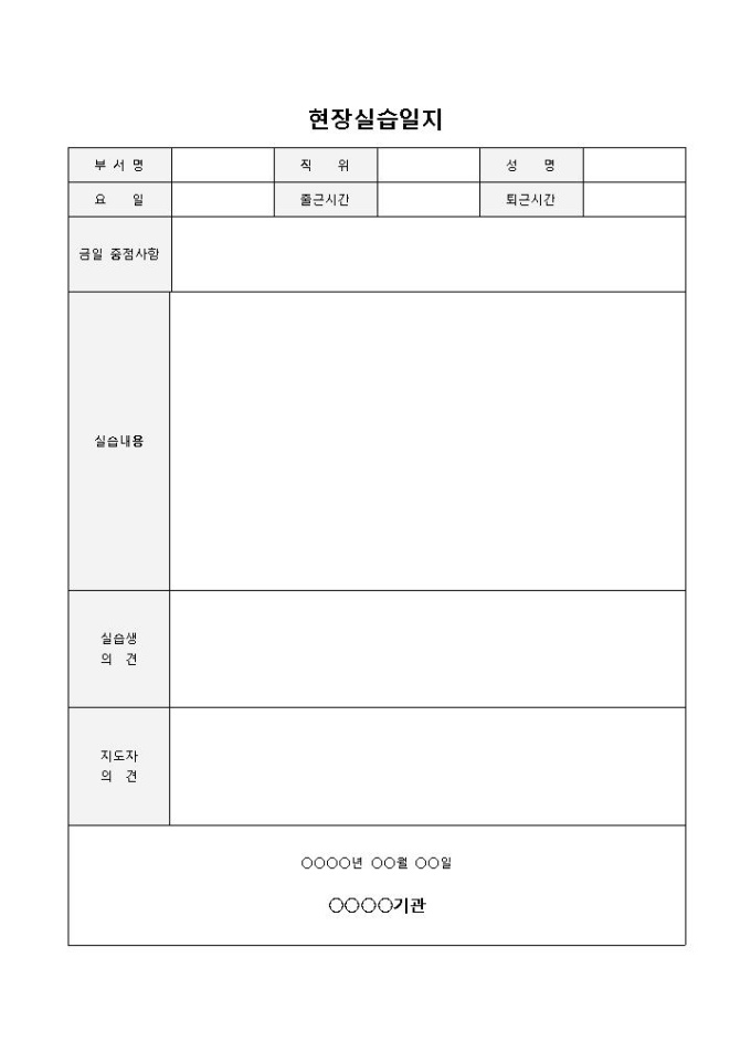 사회복지사현장실습일지 미리보기