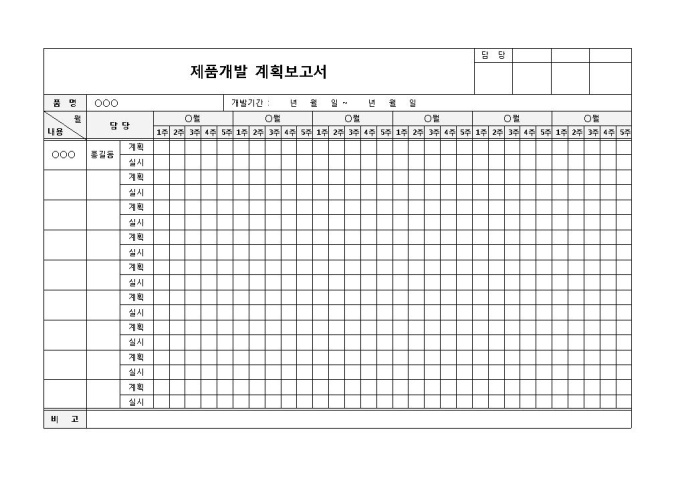제품개발계획보고서 미리보기