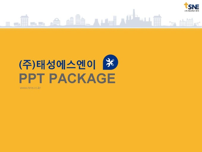 (주)태성에스엔이_회사소개서,보고서,기획서 미리보기