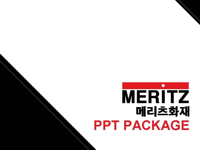 메리츠화재_회사소개서,보고서,기획서 미리보기