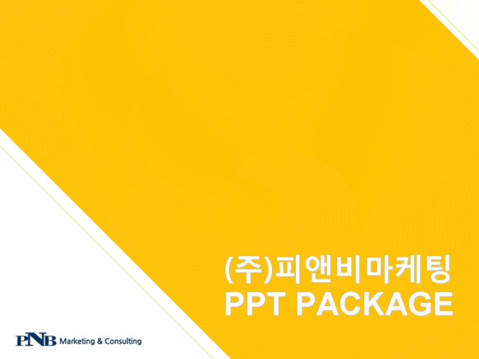(주)피앤비마케팅_회사소개서,보고서,기획서 미리보기
