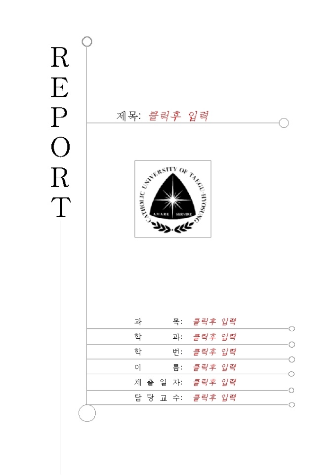레포트표지(대구효성카톨릭대학) 미리보기