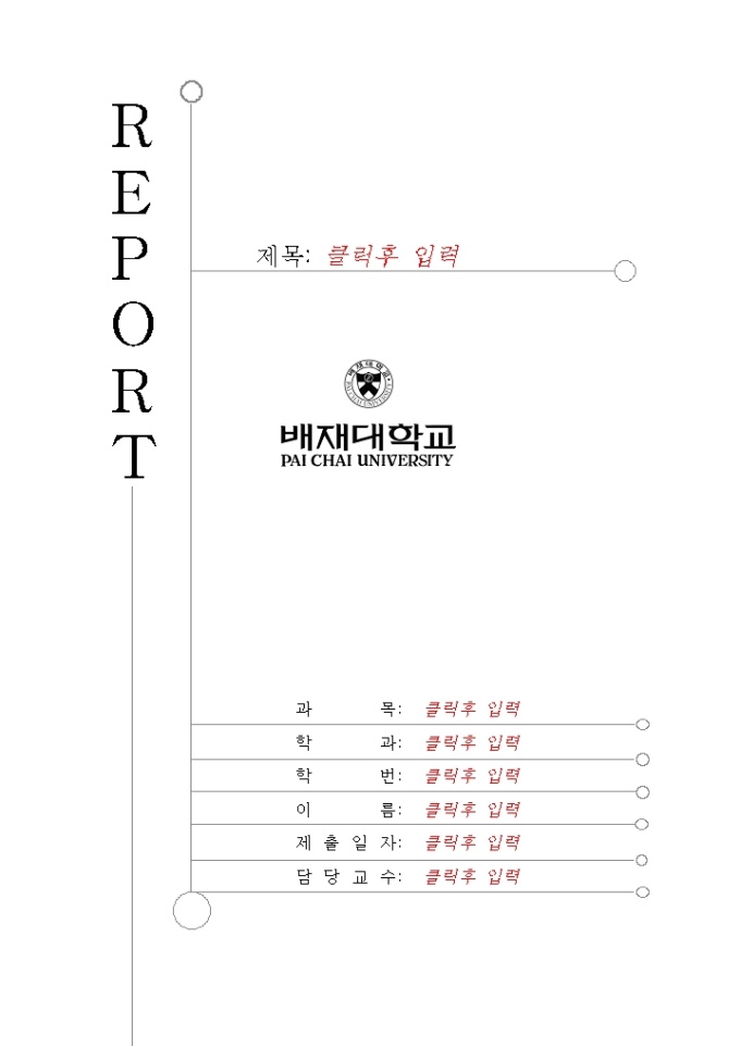 레포트 표지(배재대학) 미리보기