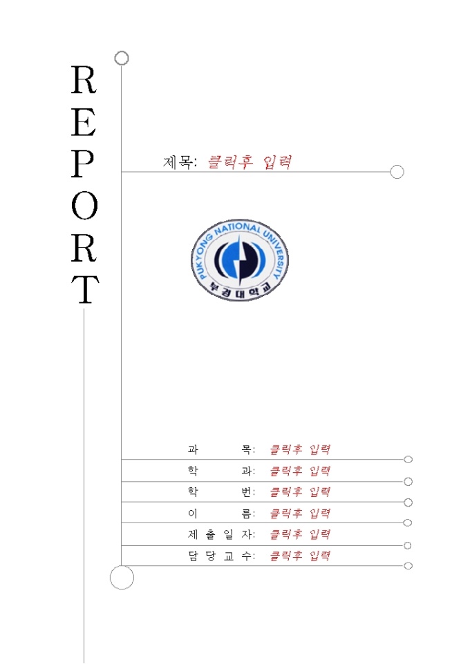 레포트 표지(부경대학) 미리보기