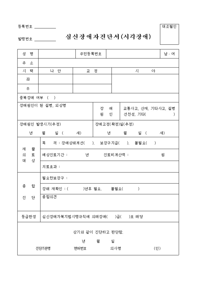 심신장애자 진단서(시각장애) 미리보기