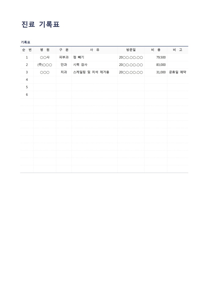 진료 기록표 미리보기