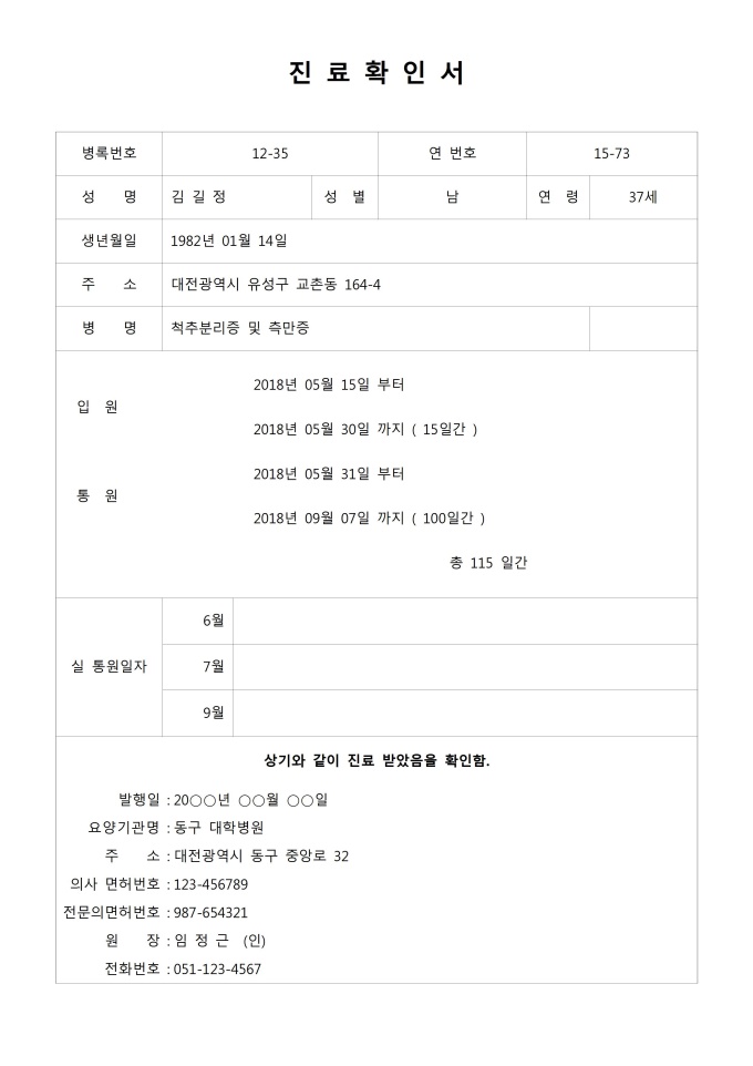 진료확인서(실 통원일자 포함) 미리보기