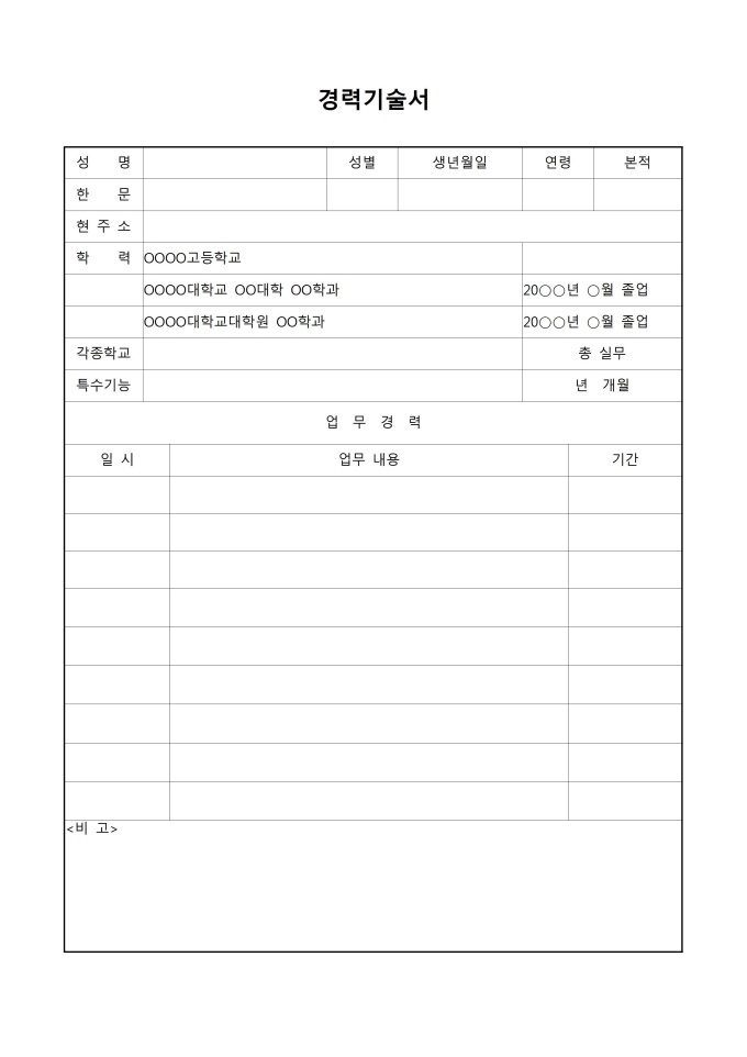 경력 기술서(일반) 미리보기