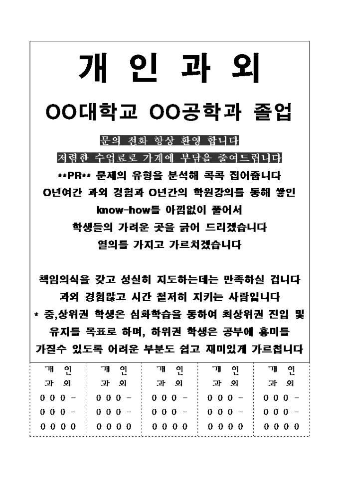 개인과외 전단지(인비대학교 공학과 졸업생) 미리보기