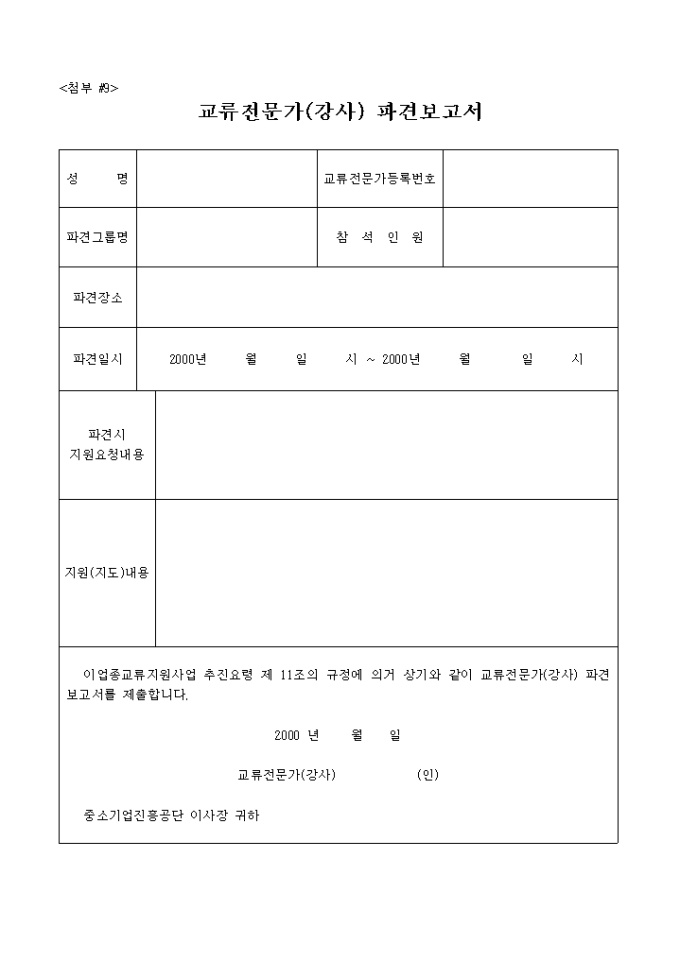 교류전문가 파견 보고서(강사) 미리보기
