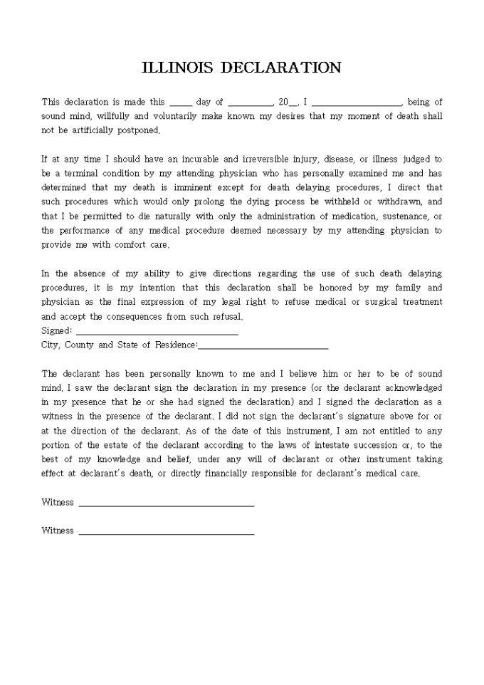 ILLINOIS DECLARATION 미리보기