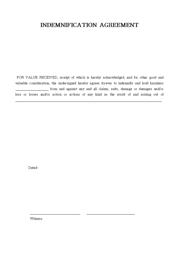 INDEMNIFICATION AGREEMENT 미리보기