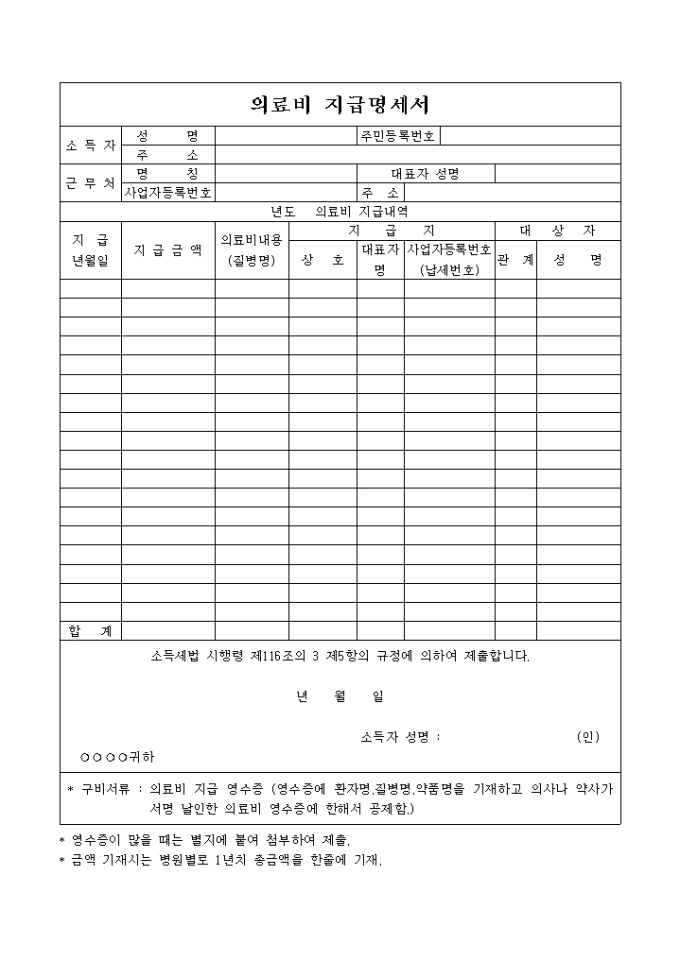 의료비 지급명세서 미리보기
