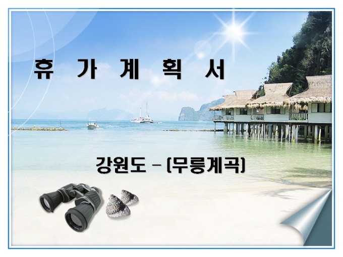 여름휴가계획서(강원도 무릉계곡) 미리보기
