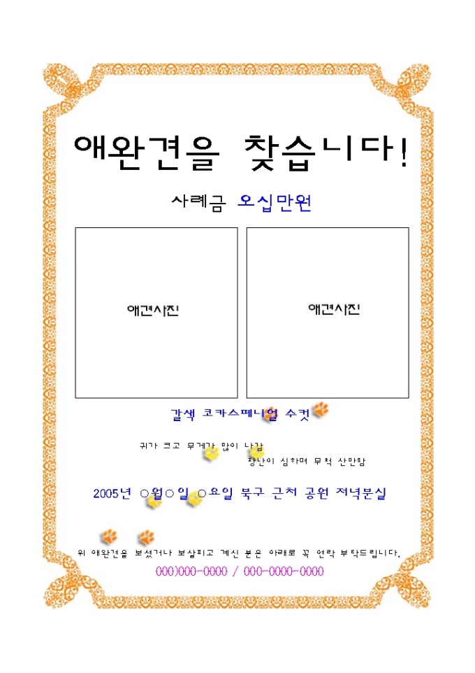 유기견 전단지(주황색테두리) 미리보기