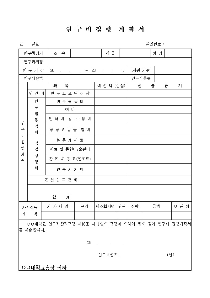 연구비 집행 계획서 미리보기