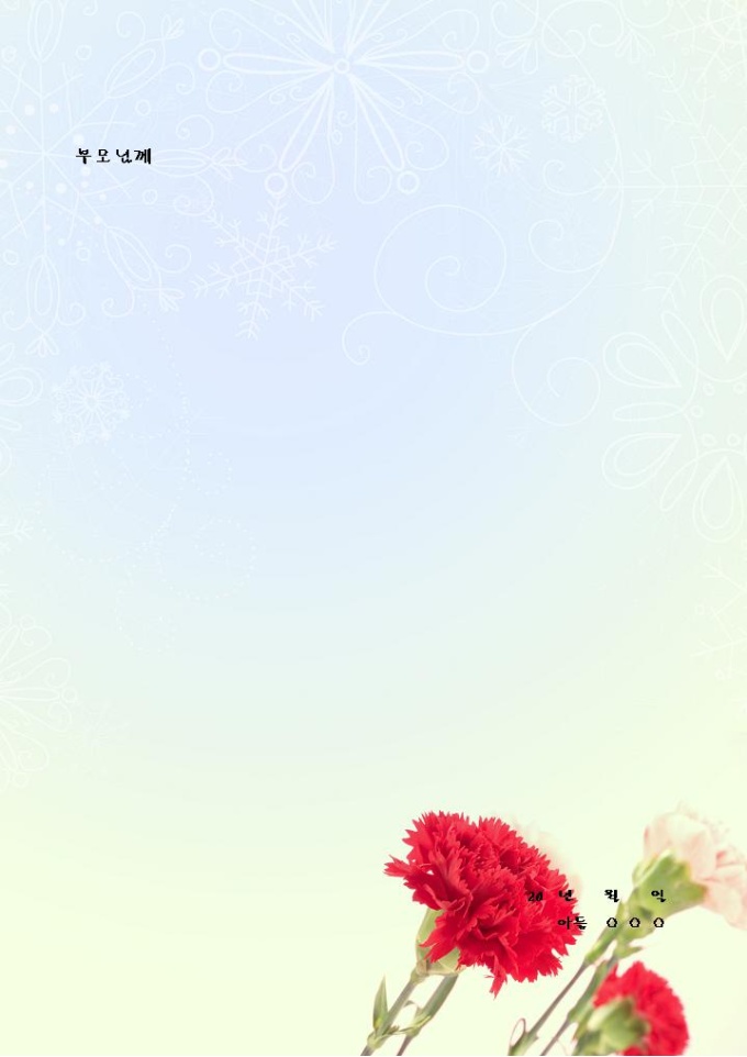 카네이션 편지지(산뜻한느낌) 미리보기