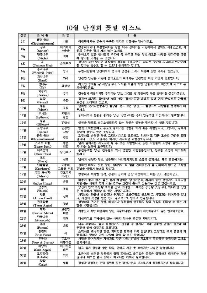 10월 탄생화 꽃말 리스트 미리보기