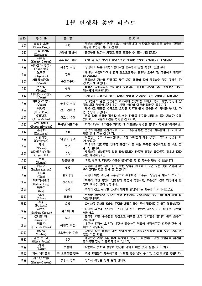 1월 탄생화 꽃말 리스트 미리보기