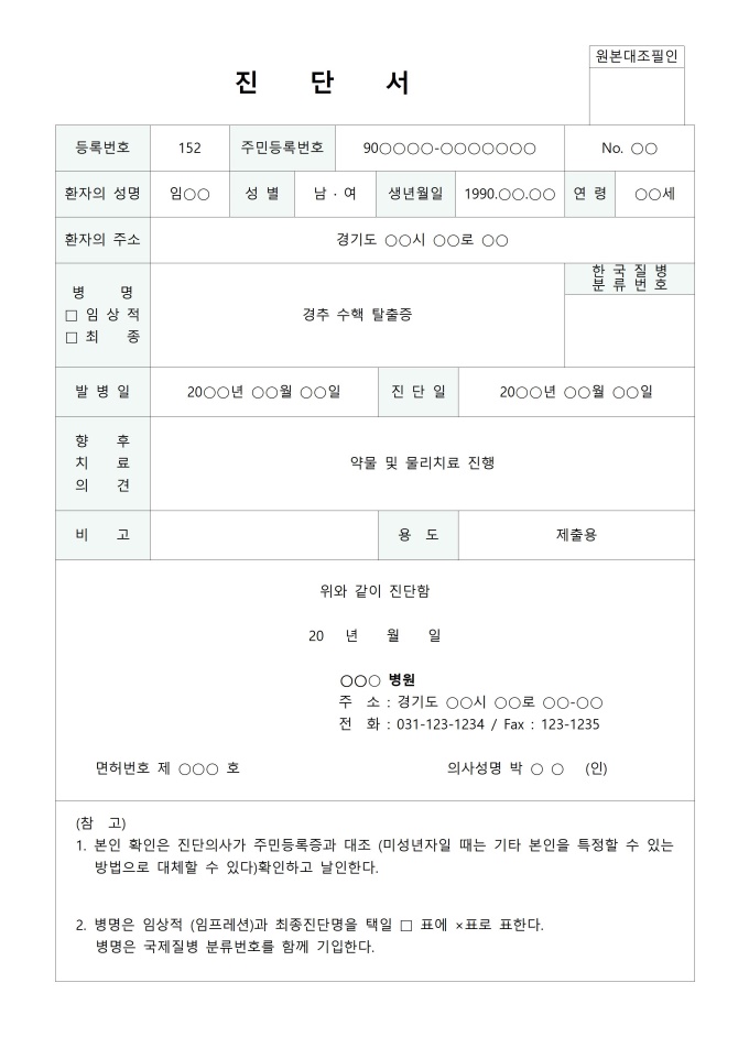 진단서(표준) 미리보기