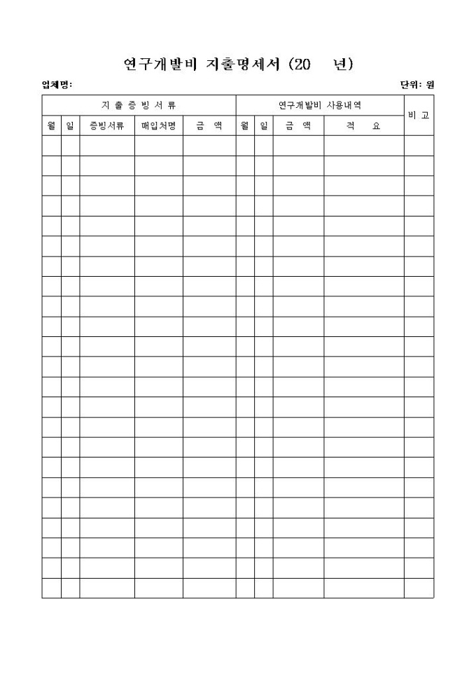연구개발비 지출명세서 미리보기