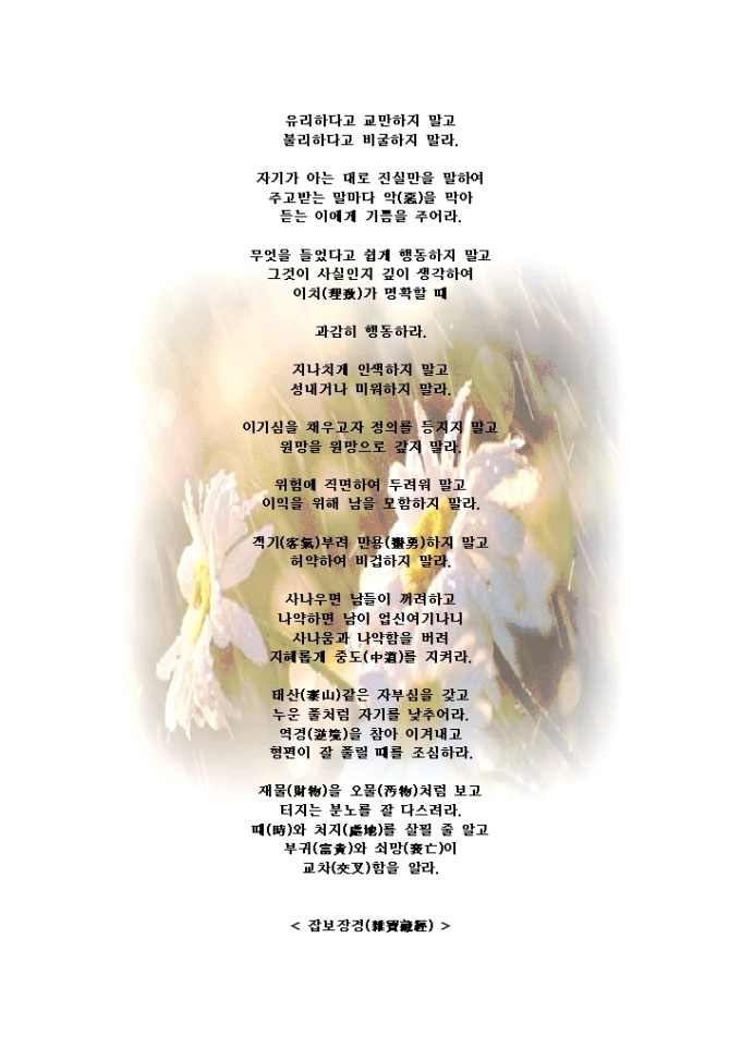 삶의 지침(잡보장경) 미리보기