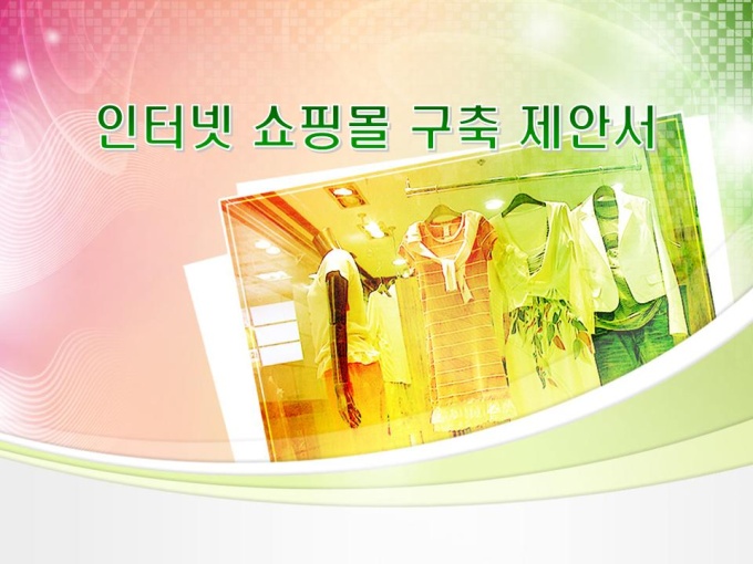 구축개발 제안서(인터넷쇼핑몰 구축, 전자상거래) 미리보기