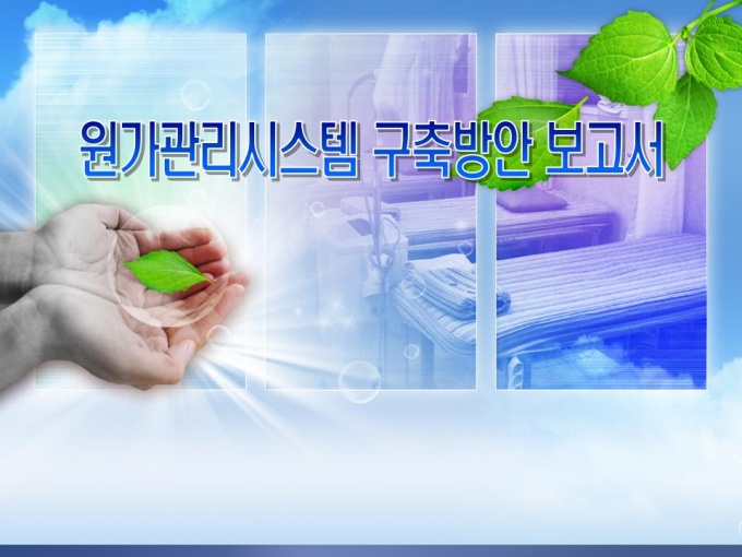 원가관리시스템 구축방안 보고서(의료용품) 미리보기