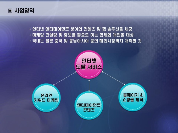 사업영역(인터넷 컨텐츠 제작) 미리보기