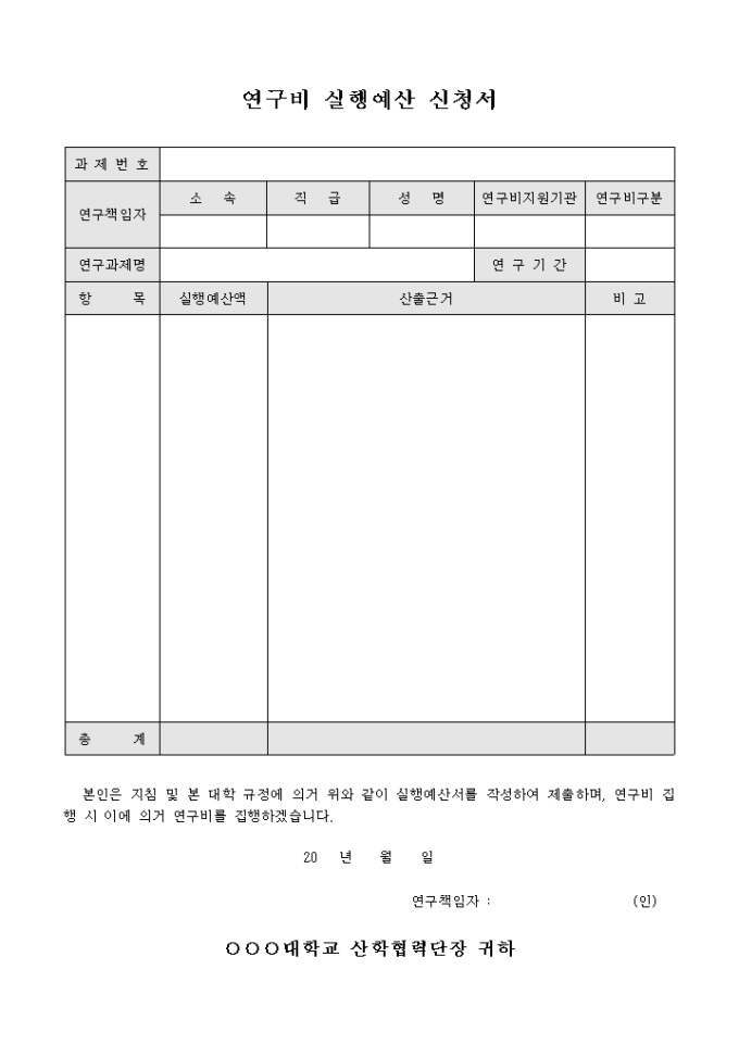 연구비 실행 예산 신청서 미리보기