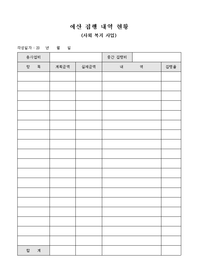 예산 집행 내역 현황(사회 복지 사업) 미리보기