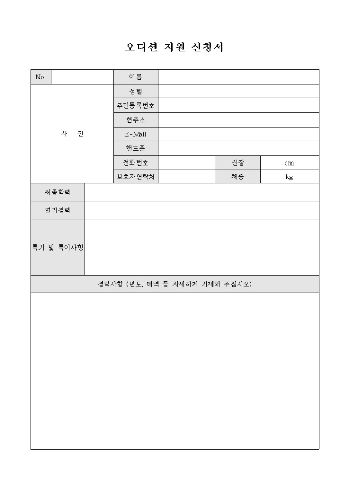 오디션지원신청서(경력사항 서술형태) 미리보기