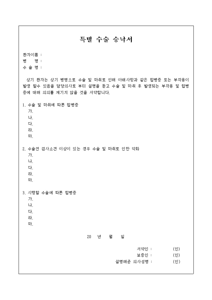 특별 수술 승낙서 미리보기