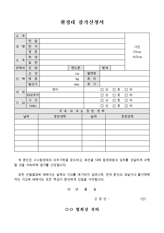 원정대 참가 신청서 미리보기