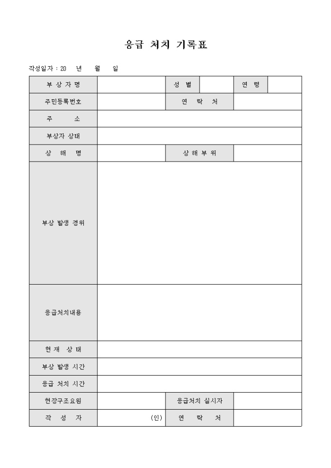 응급 처치 기록표 미리보기