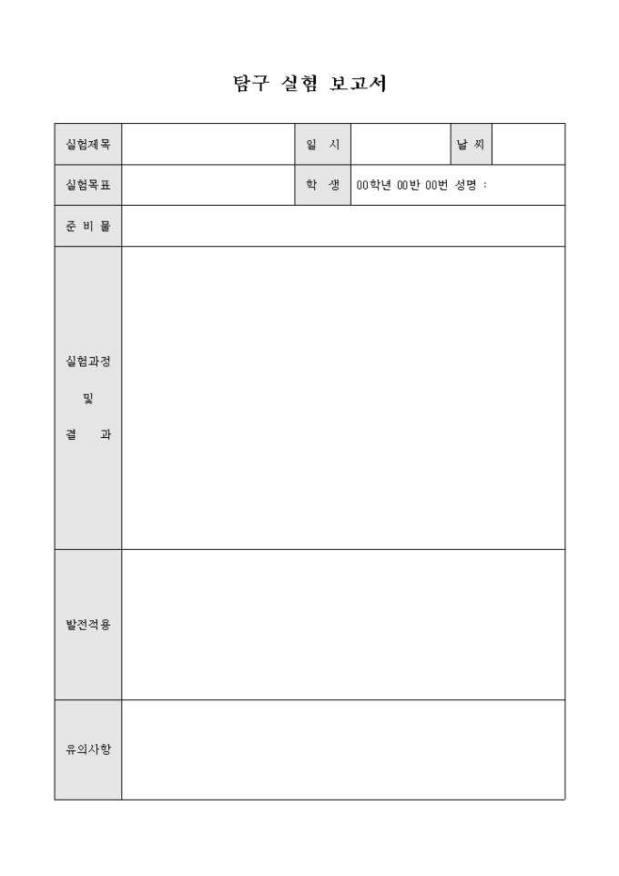 탐구 실험 보고서 미리보기