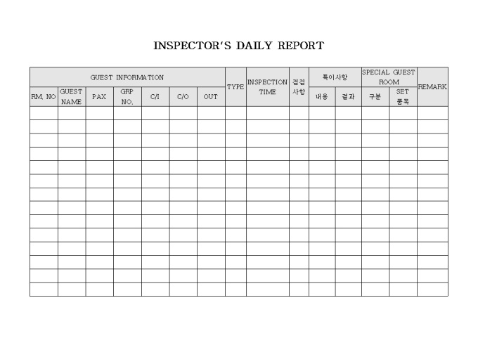 INSPECTORS DAILY REPORT 미리보기