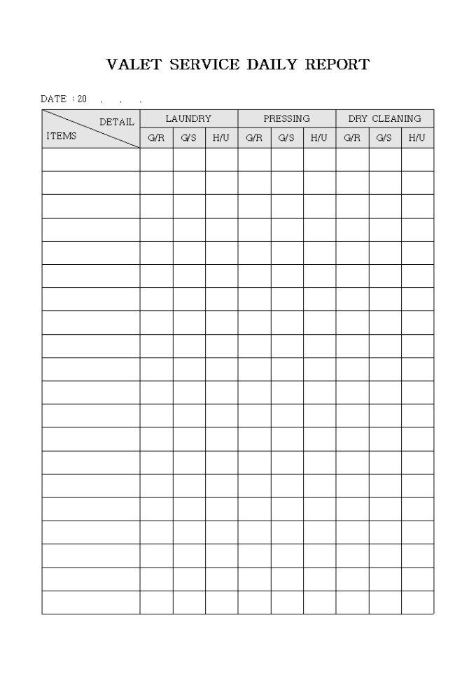 VALET SERVICE DAILY REPORT 미리보기