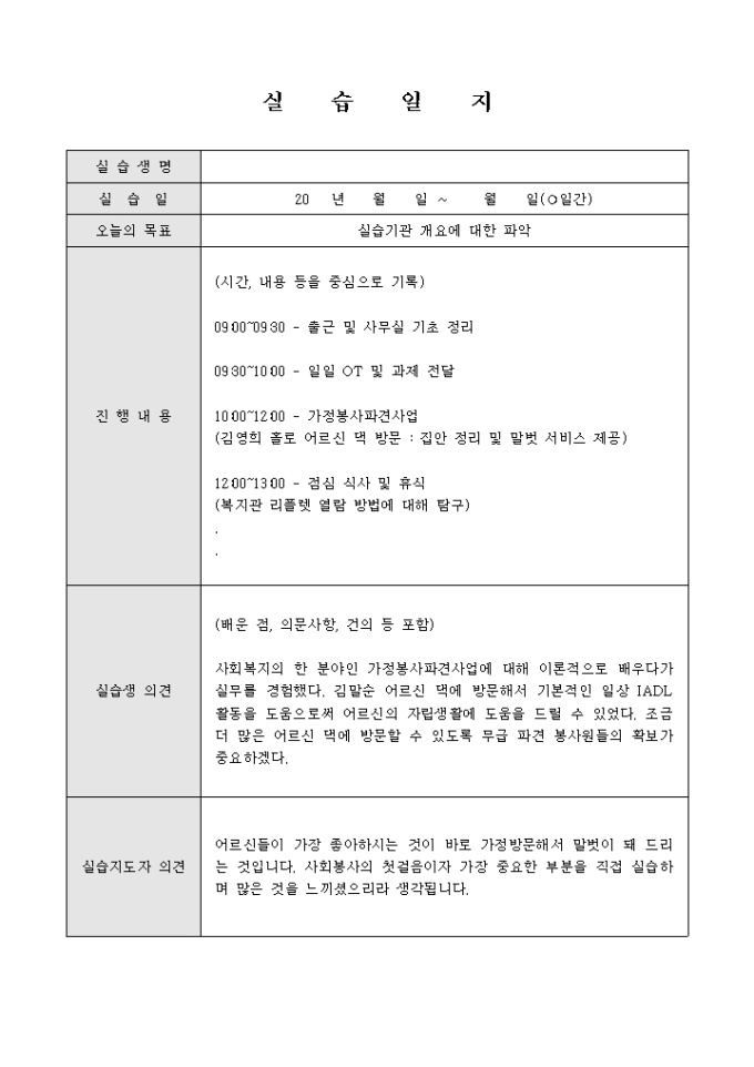 실습일지(사회복지) 미리보기