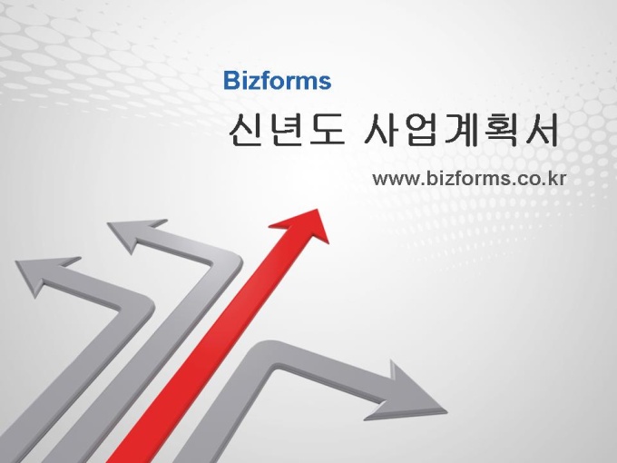 표준 신년도 사업계획서(서비스업) 미리보기