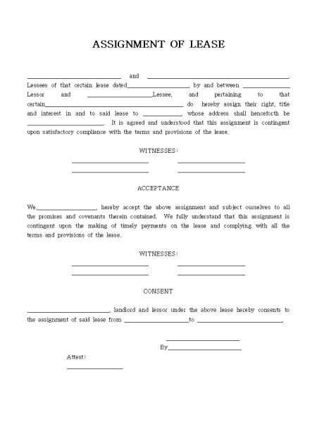 �̸�����