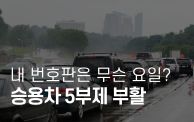 차량 5부제 부활, 내 번호판은 무슨 요일? 적용 대상...
