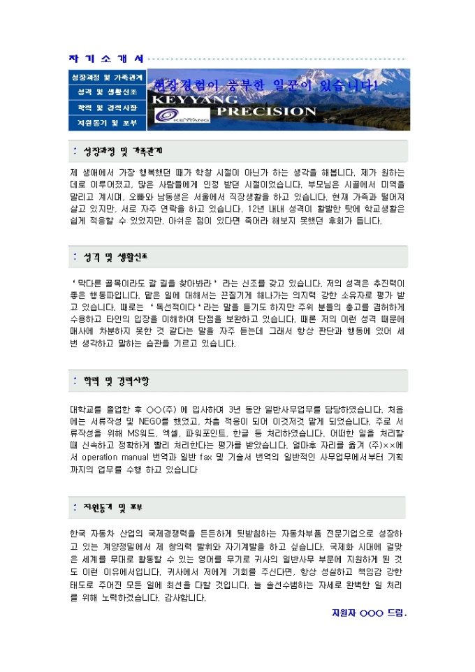 일반사무 자기소개서(정밀)_경력 미리보기
