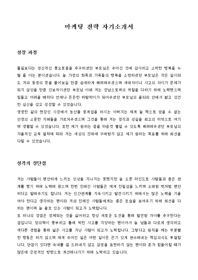 마케팅 전략 자기소개서 미리보기