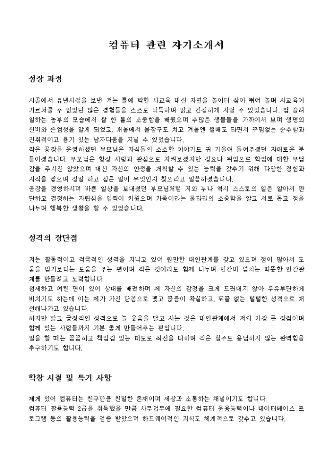 컴퓨터 관련 자기소개서 미리보기