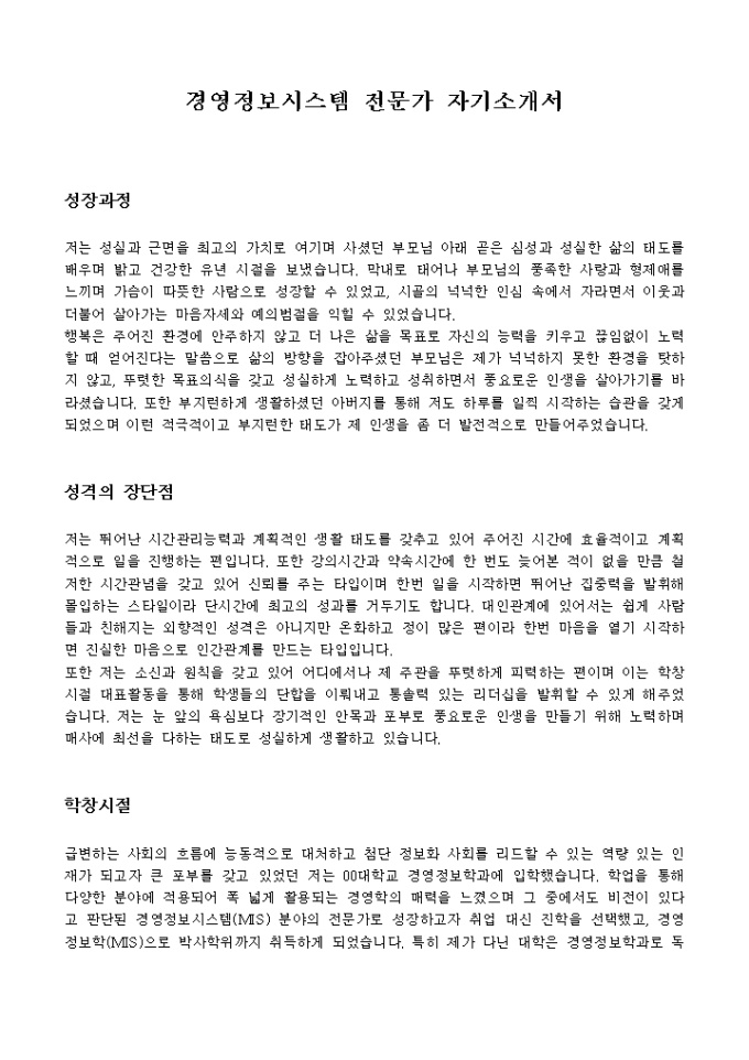 경영정보시스템 전문가 자기소개서 미리보기