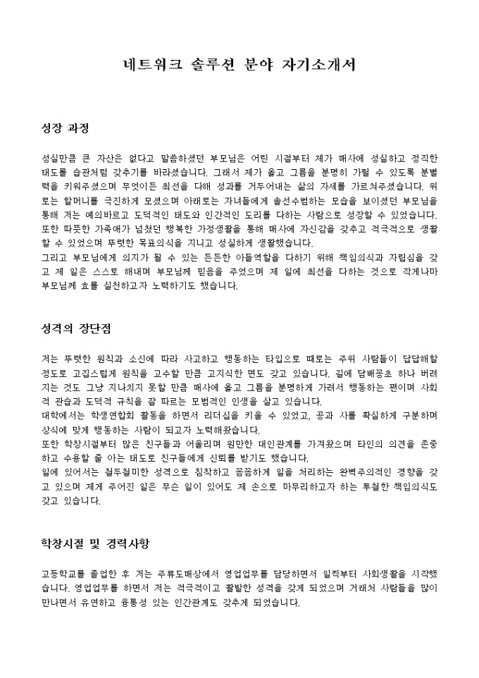 네트워크 솔루션 분야 자기소개서 미리보기