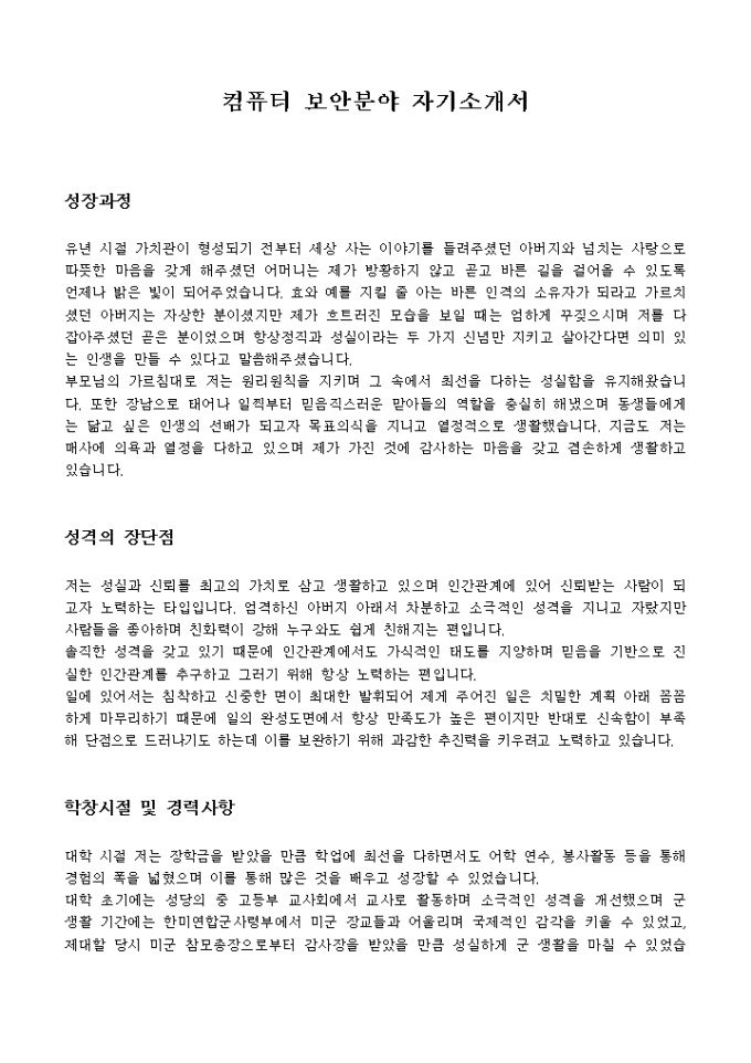 컴퓨터 보안분야 자기소개서 미리보기